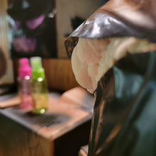 Load image into Gallery viewer, Grow at home kit- Halloween Edition